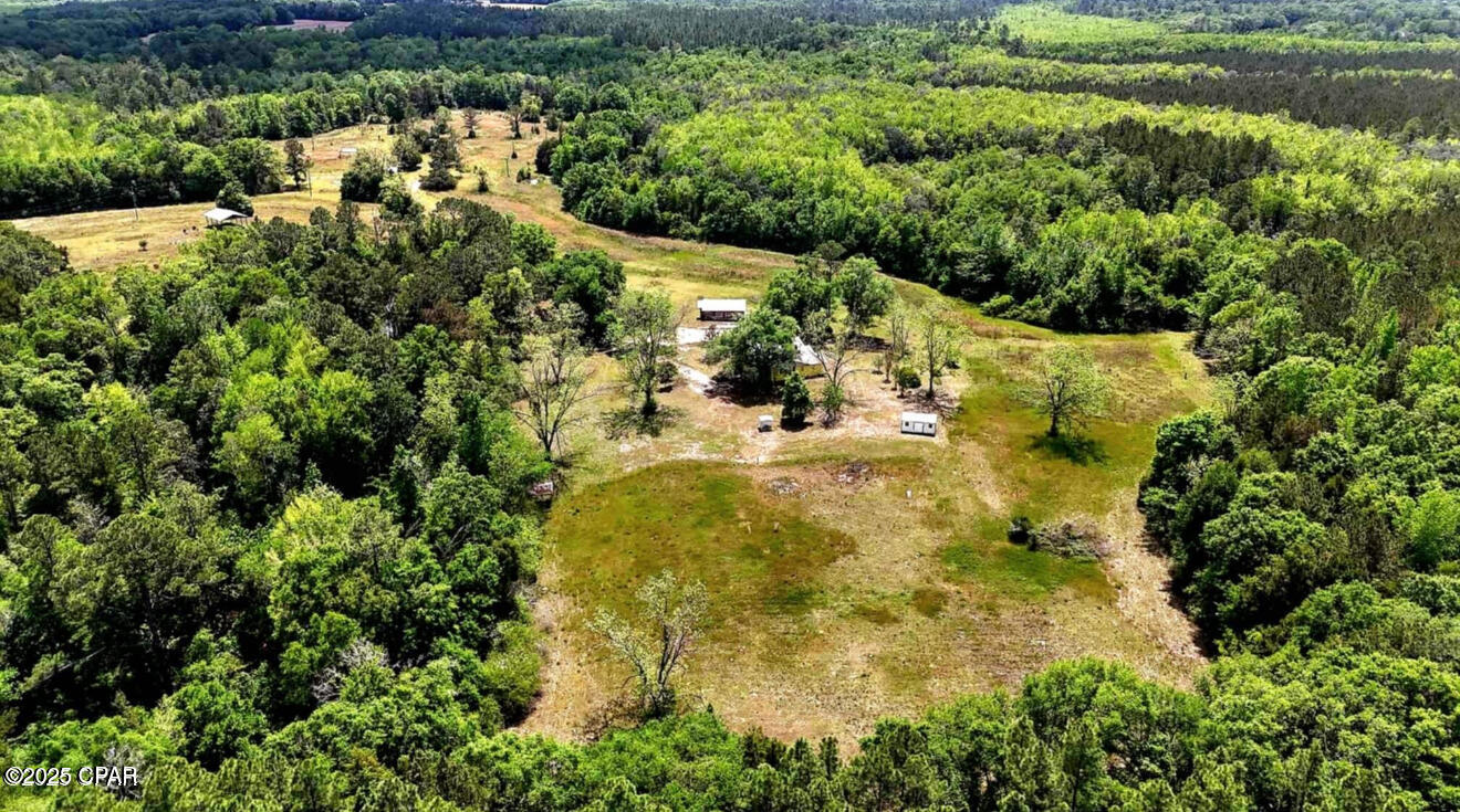 1718 Robbins Bridge Road Bonifay, FL 32425 - Photo 31 of 36