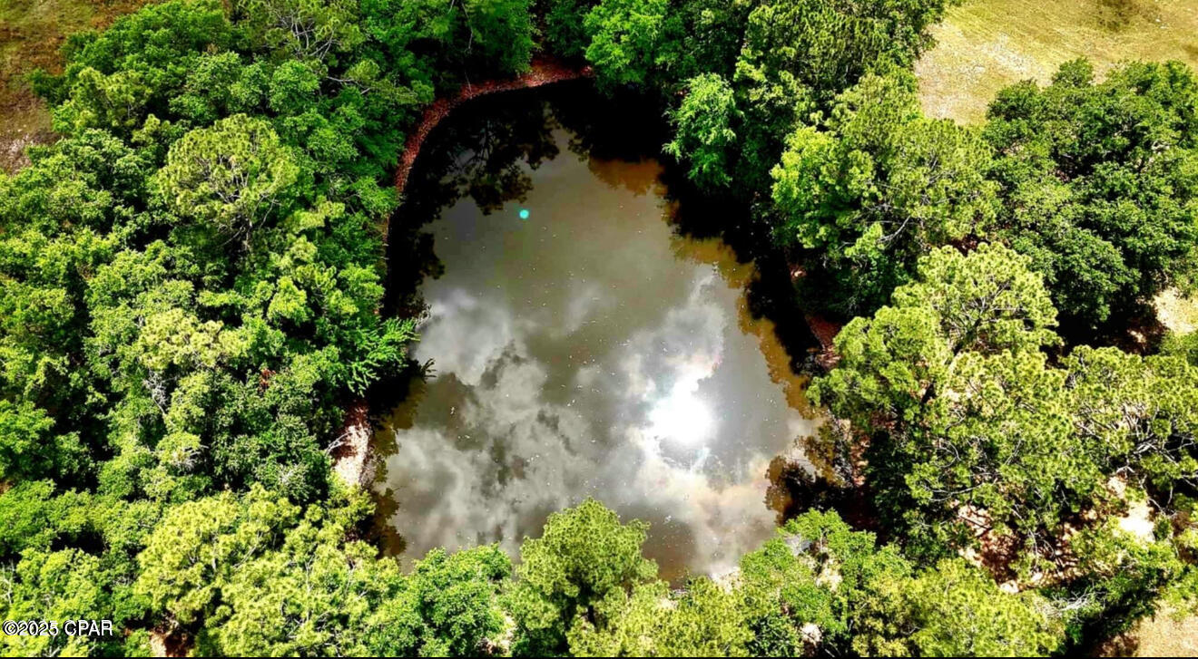 1718 Robbins Bridge Road Bonifay, FL 32425 - Photo 36 of 36