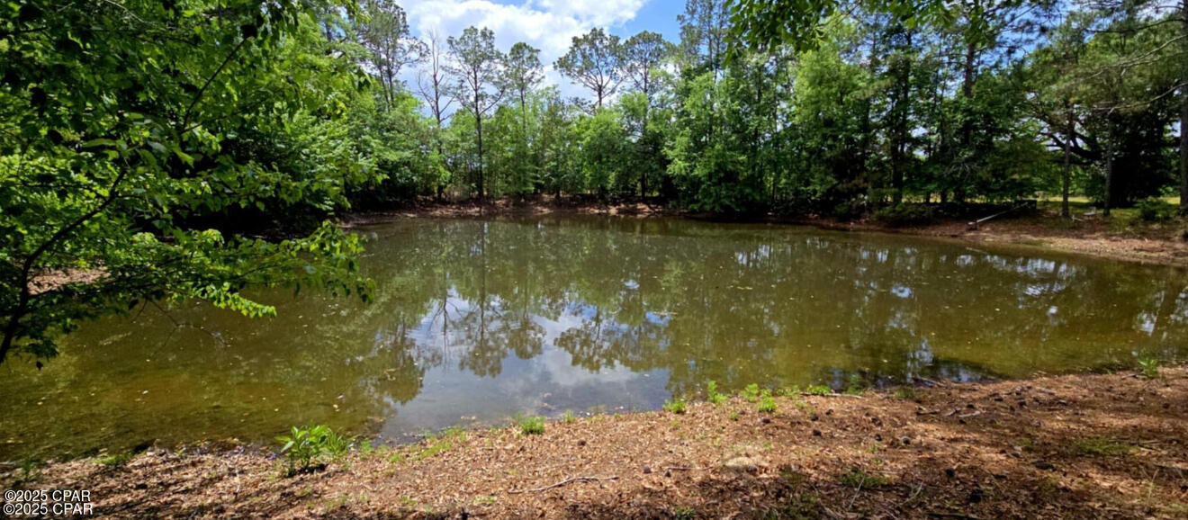 1718 Robbins Bridge Road Bonifay, FL 32425 - Photo 4 of 36