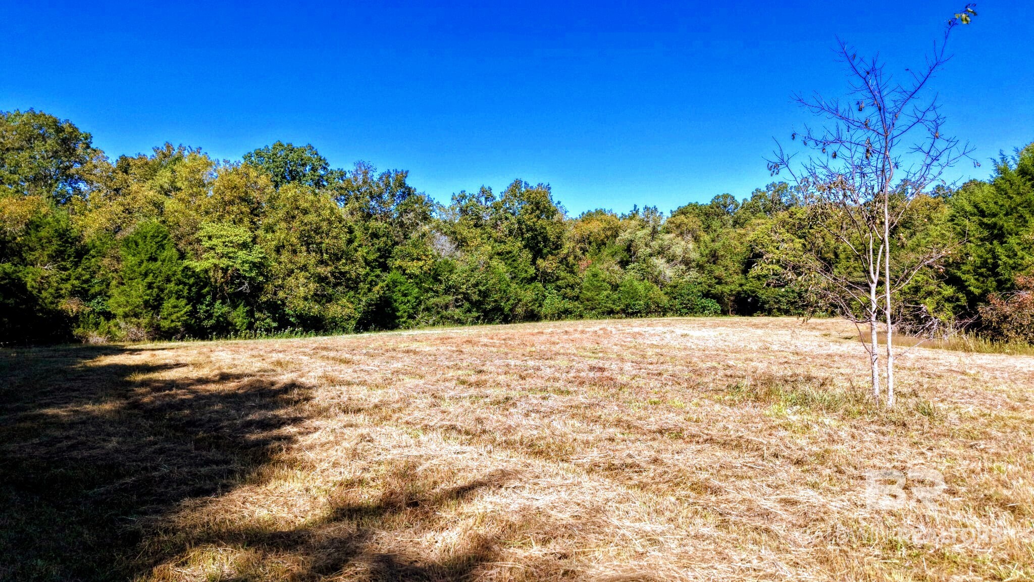 0 Highway 17 Millry, AL 36558 - Photo 30 of 73 Gallery Image 30