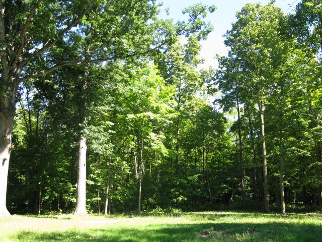 0 Scipio Road Spencerville, IN 46788 - Photo 1 of 8