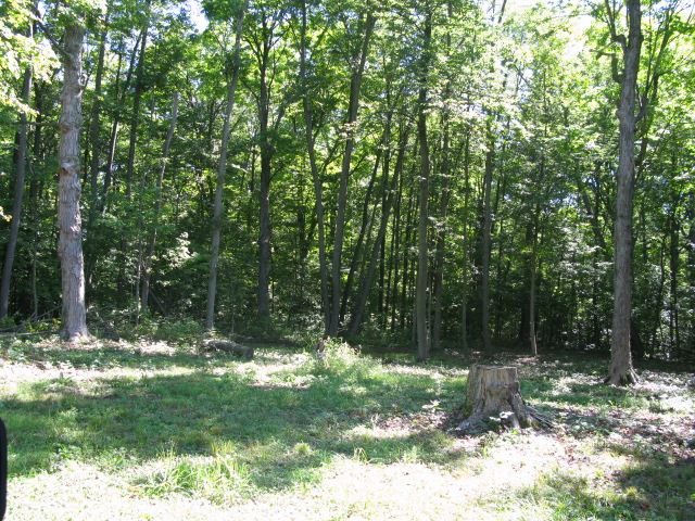 0 Scipio Road Spencerville, IN 46788 - Photo 3 of 8