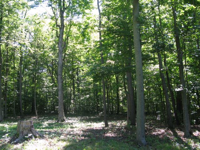 0 Scipio Road Spencerville, IN 46788 - Photo 4 of 8