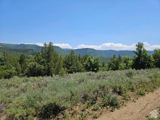 155 East Wolf Hollow Road South, Unit 155 Fairview, UT 84629 - Photo 3 of 13 Mountain view