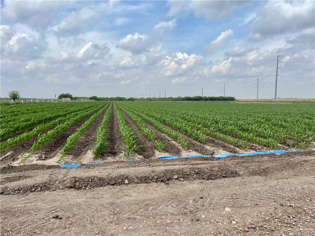 Tbd North Tbd N Frontera Road North Weslaco, TX 78596 - Photo 3 of 3