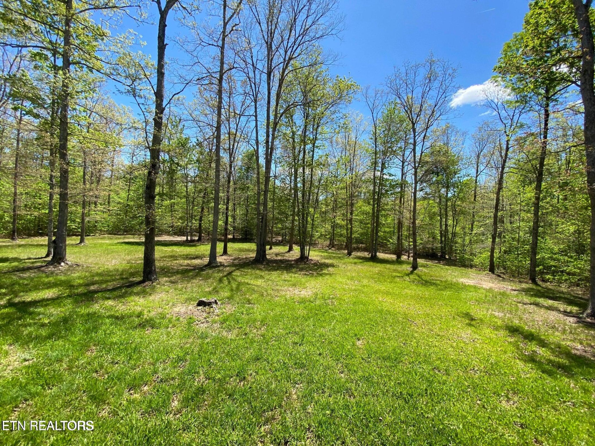 1099 Hargis Road Grimsley, TN 38565 - Photo 11 of 31 Gallery Image 11
