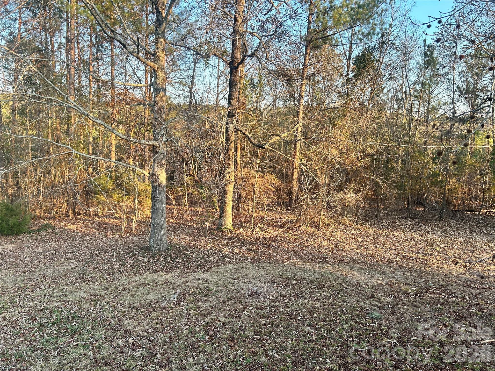 265 Gloria Trail Columbia, SC 29203 - Photo 23 of 23