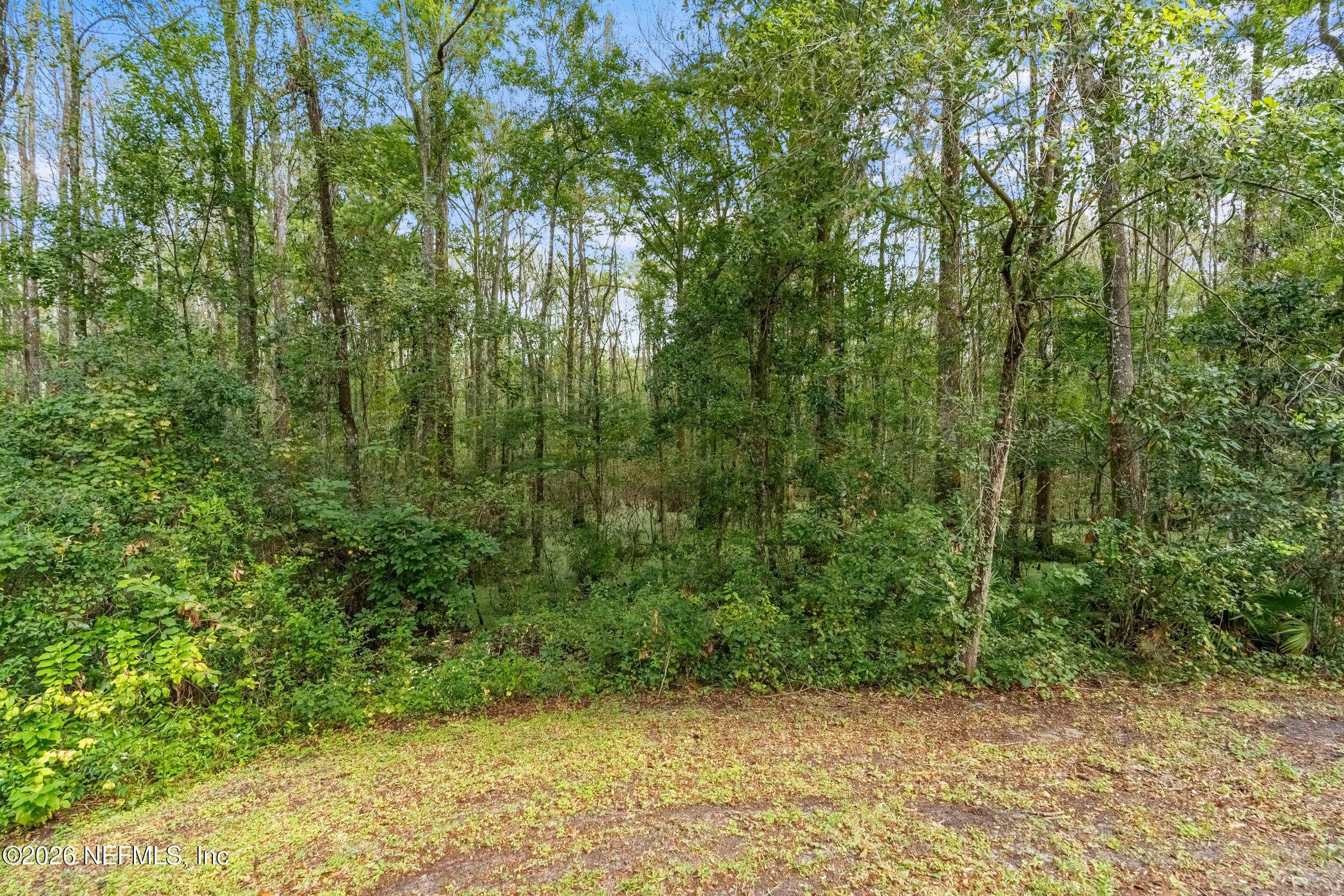 2221 Treasure Point Road Green Cove Springs, FL 32043 - Photo 30 of 34 property line