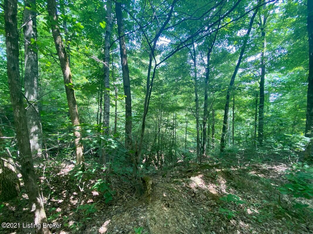 1270 Duvall Road Caneyville, KY 42721 - Photo 35 of 61 1270 Duvall Rd24