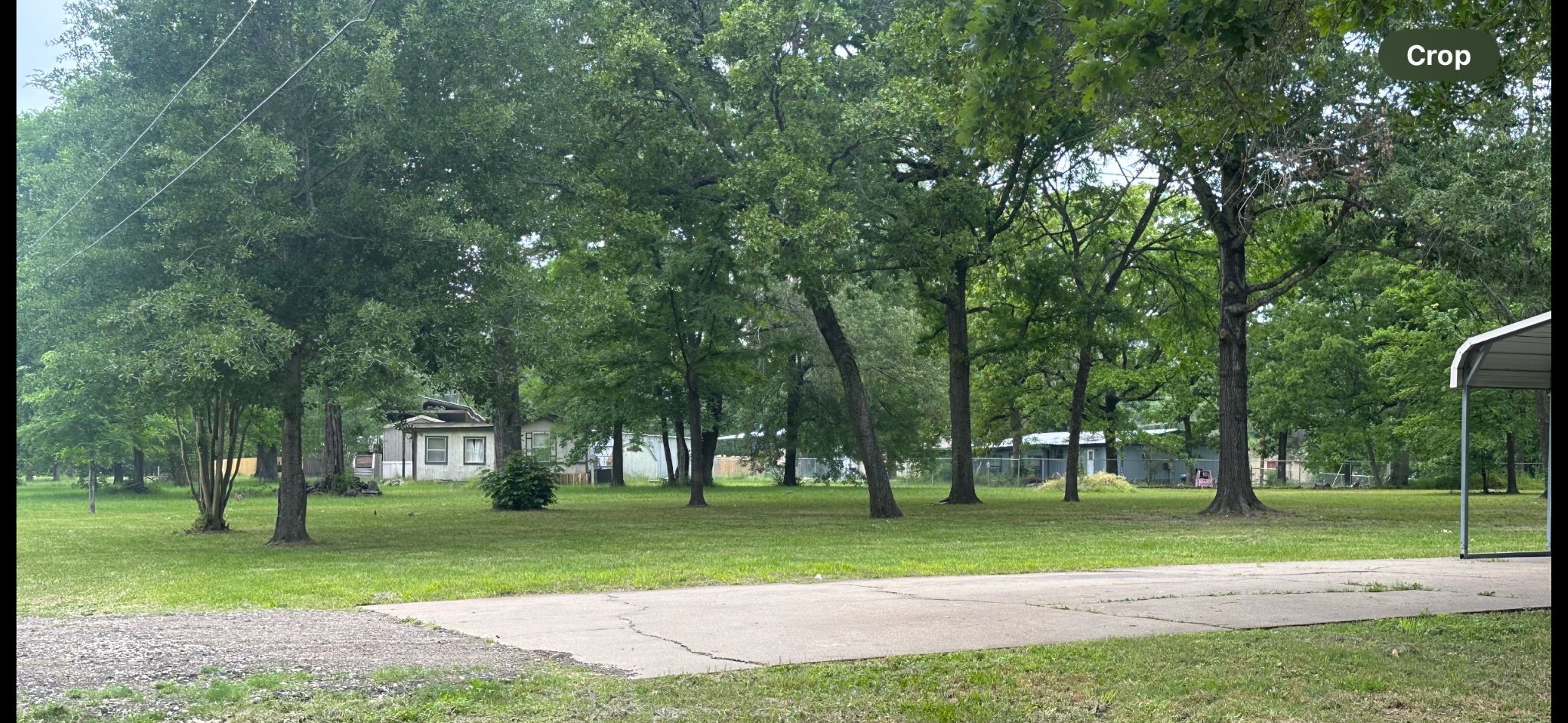 195 Charlies Lane Trinity, TX 75862 - Photo 25 of 25 a huge green field with lots of trees