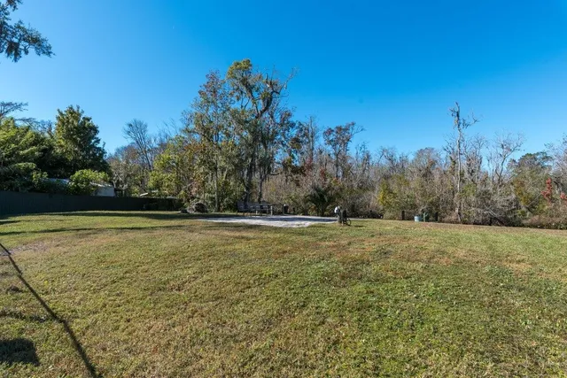 a view of a field with trees