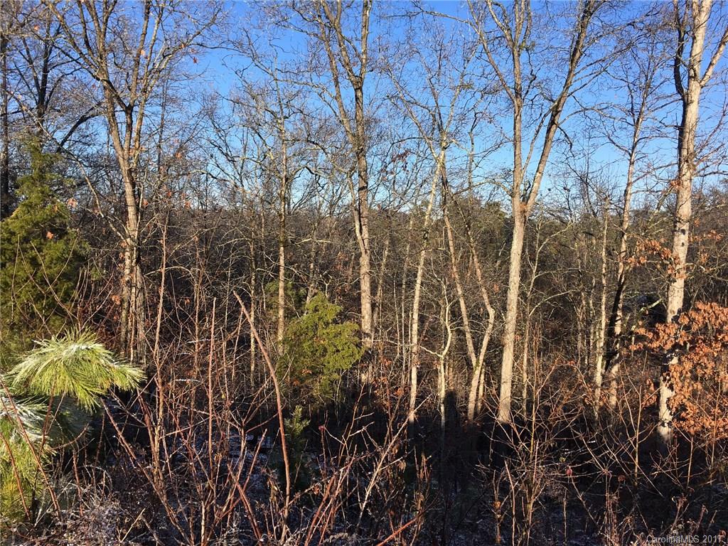 328 Calming Way, Unit 66 Tega Cay, SC 29708 - Photo 2 of 2 a view of a yard