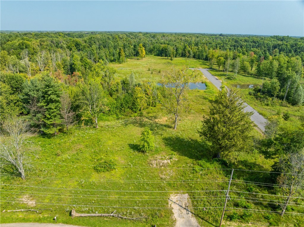 Lot 2 Clevenger Road Ontario, NY 14519 - Photo 3 of 10