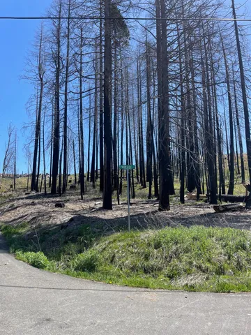 $30,000 | 5106 Parkside Drive, Grizzly Flats, CA 95636