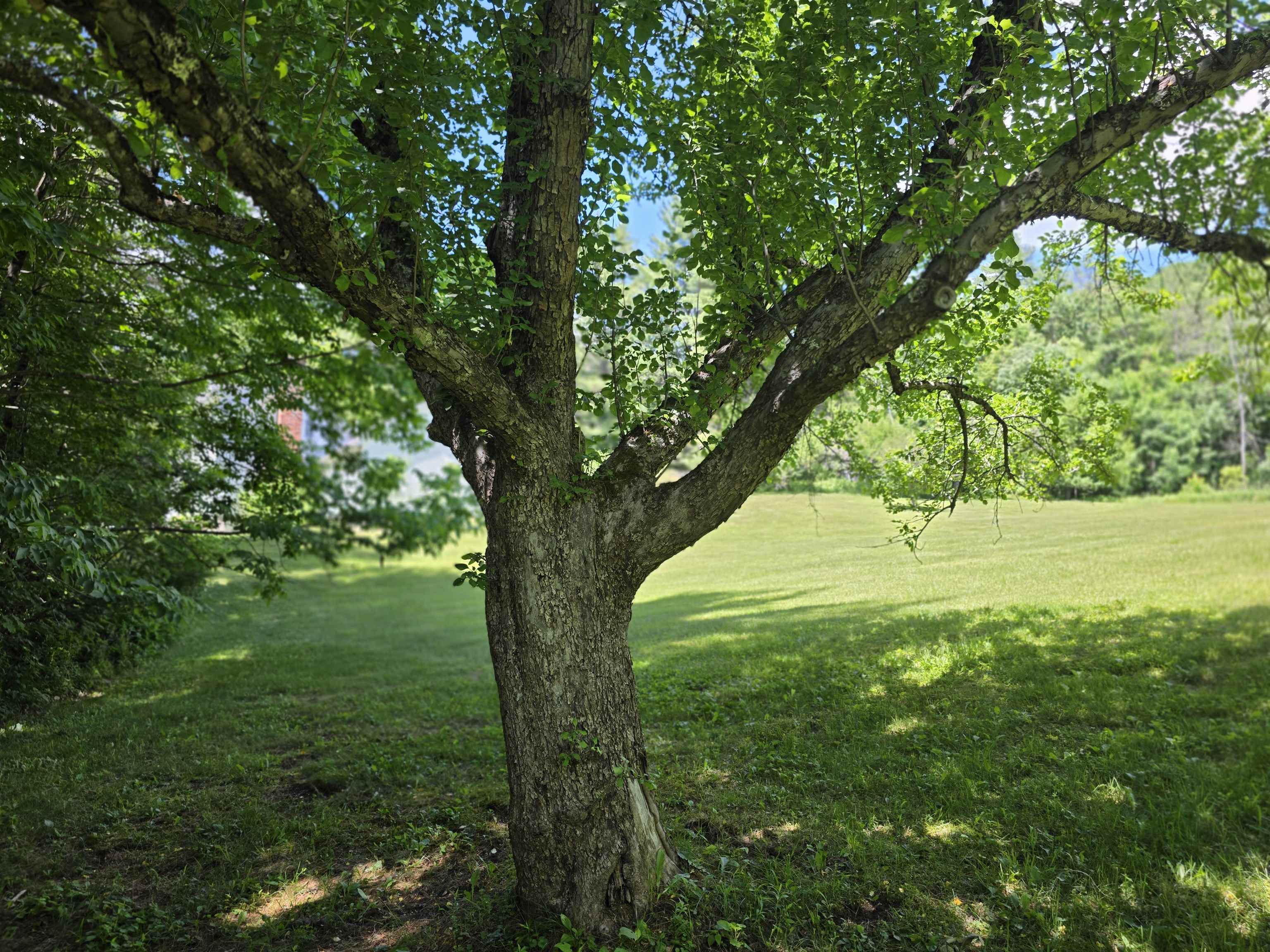 596 4 Chimneys Road Grafton, VT 05146 - Photo 44 of 50