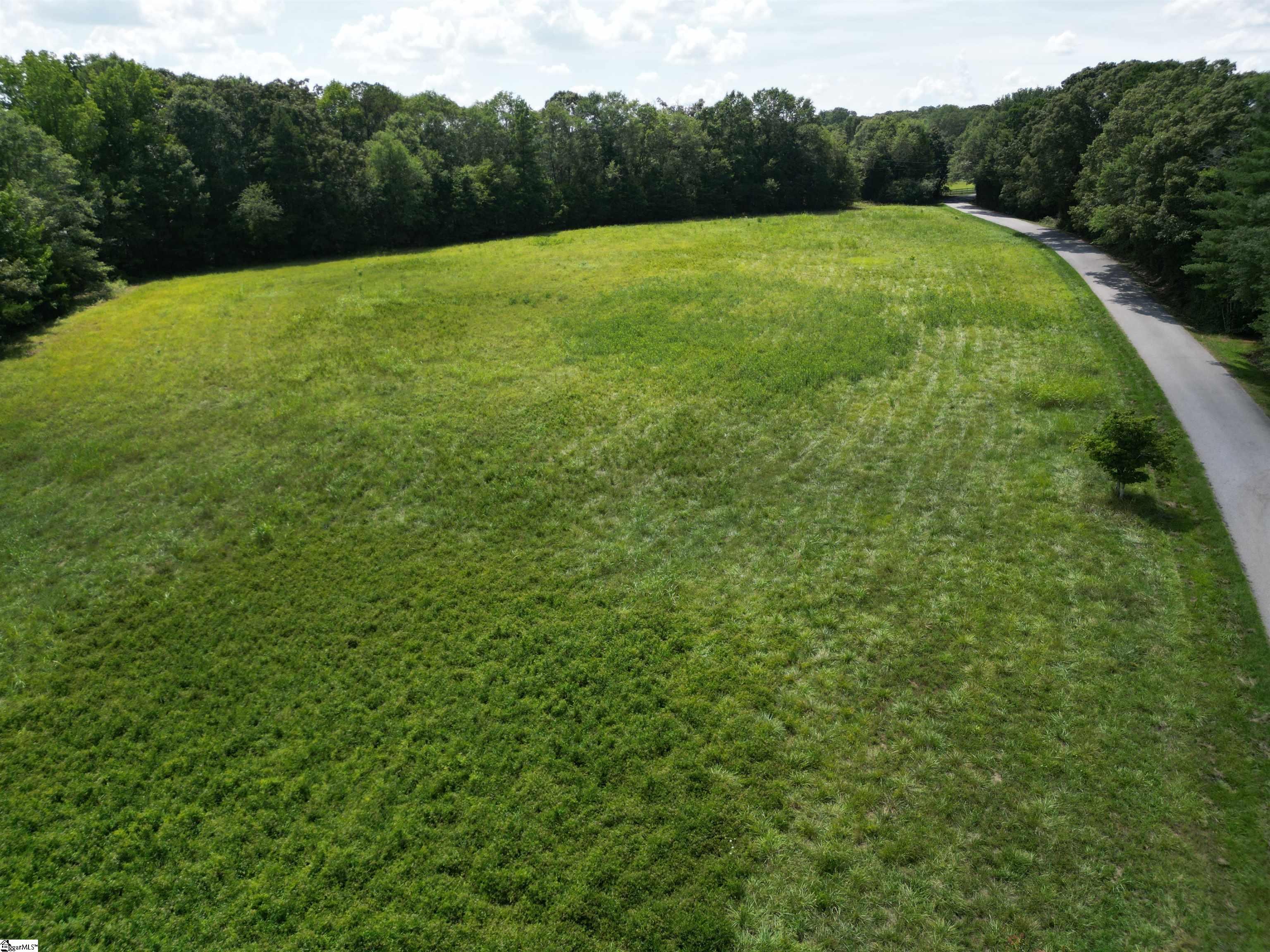 0 Slatton Shoals Road Pelzer, SC 29669 - Photo 7 of 13