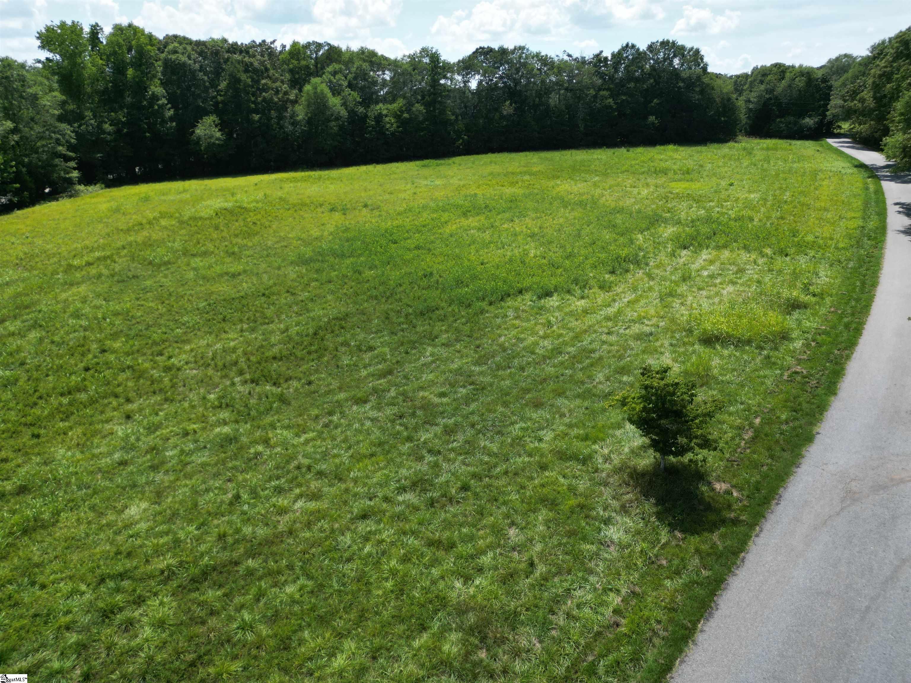 0 Slatton Shoals Road Pelzer, SC 29669 - Photo 9 of 13