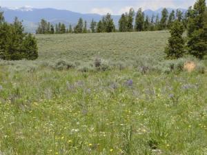 52-6237 County Road Fraser, CO 80442 - Photo 2 of 4 Rocky Mountain National Park view