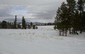 52-6237 County Road Fraser, CO 80442 - Photo 3 of 4 Winter Scene