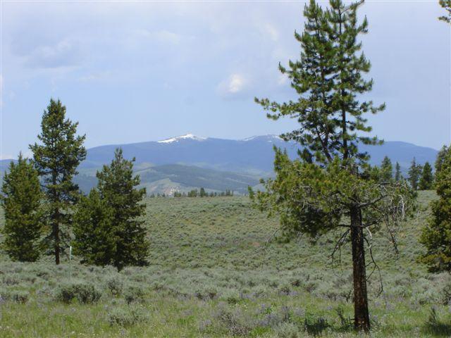 52-6237 County Road Fraser, CO 80442 - Photo 4 of 4 Summer view