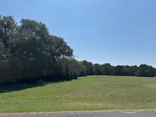a view of a field with grass and trees