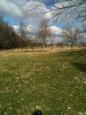 2208 Thomson Station Road Winchester, KY 40391 - Photo 31 of 36 Photo 34