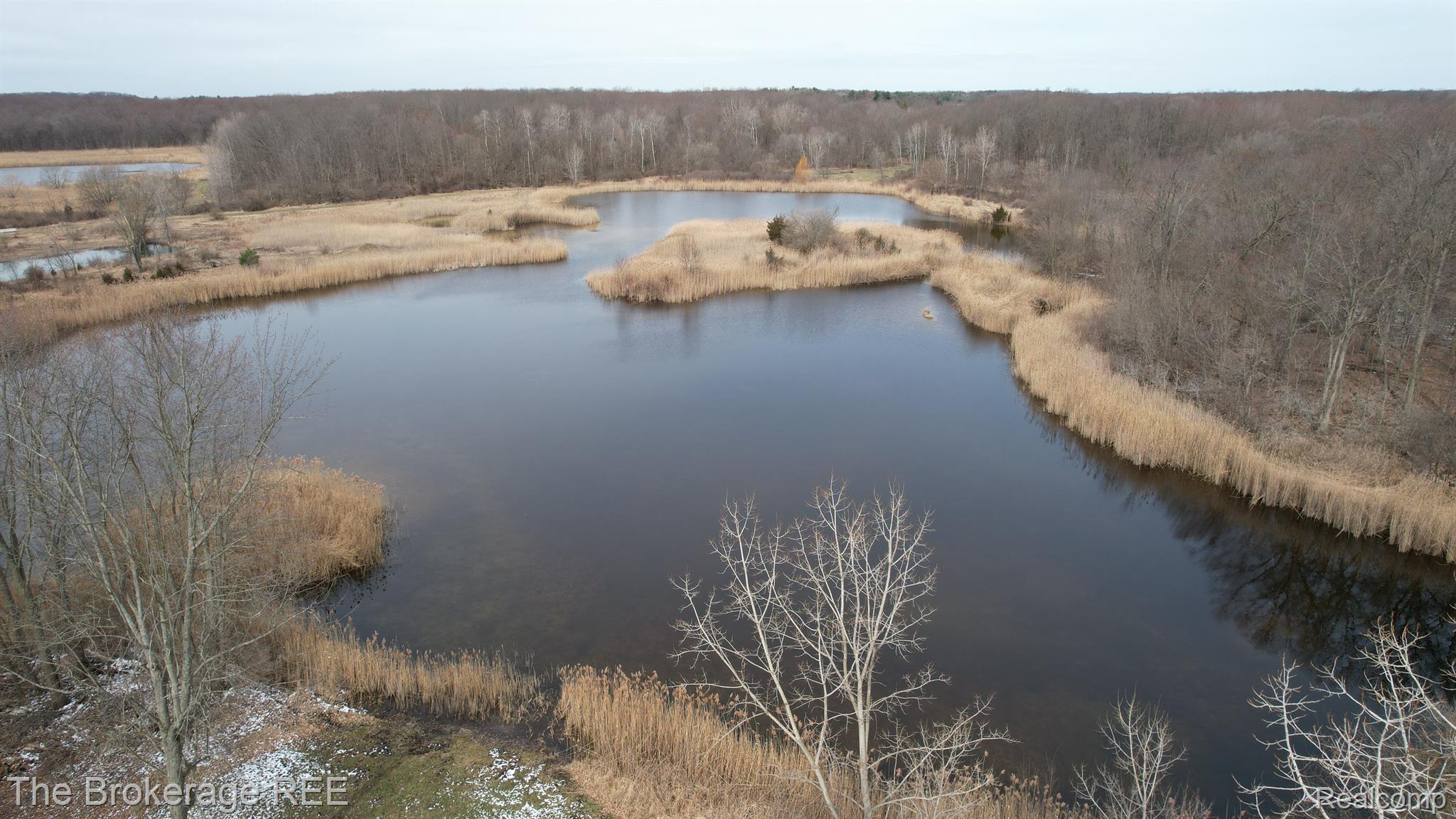 301 Gray Road Lapeer, MI 48446 - Photo 21 of 64 Gallery Image 21