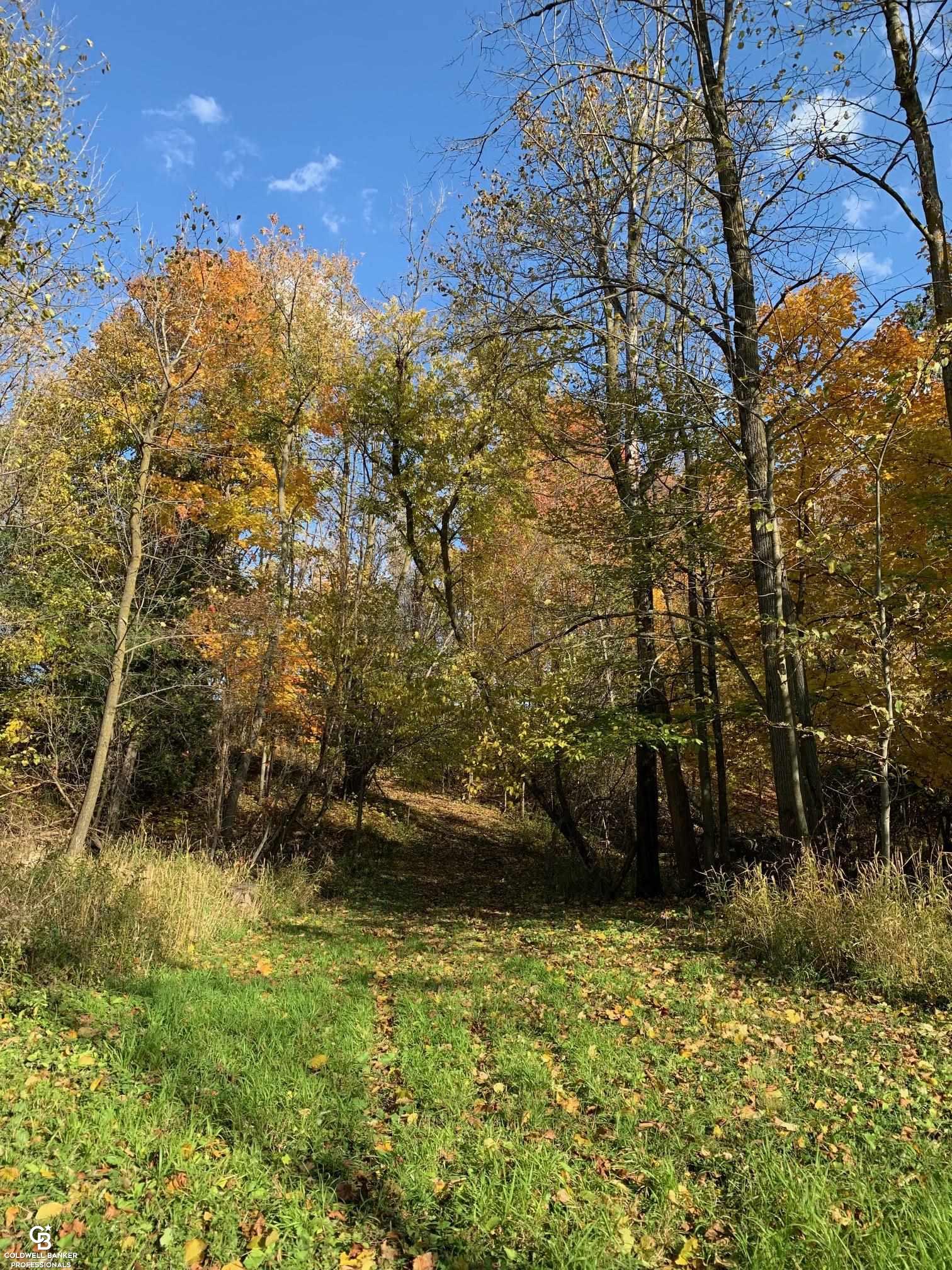 3225 Hartsell Road Owendale, MI 48754 - Photo 73 of 78 More walking trails