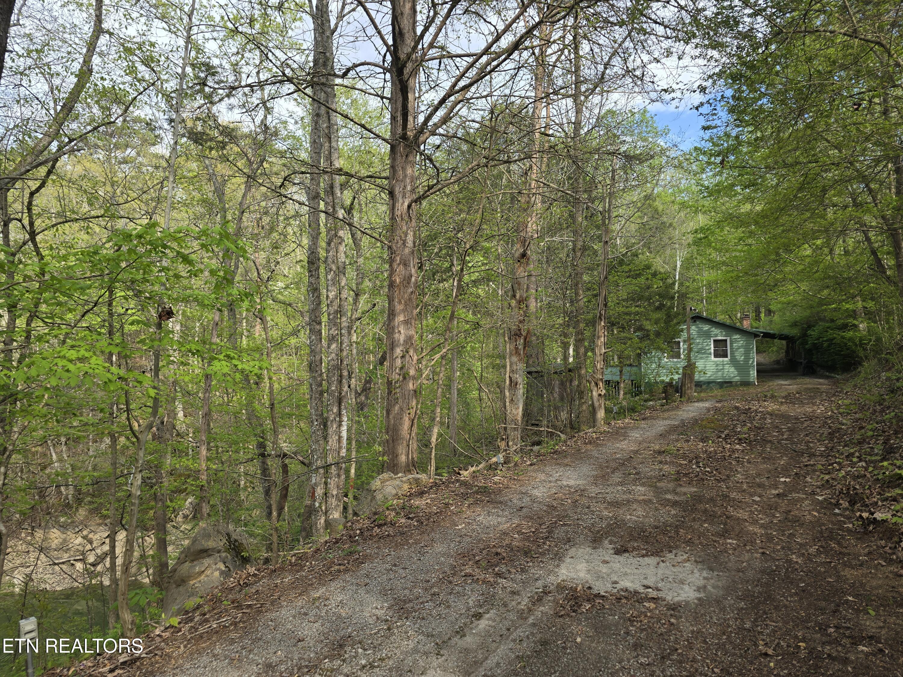 3711 Elm Springs Ridge Washburn, TN 37888 - Photo 12 of 49 20260411_172711