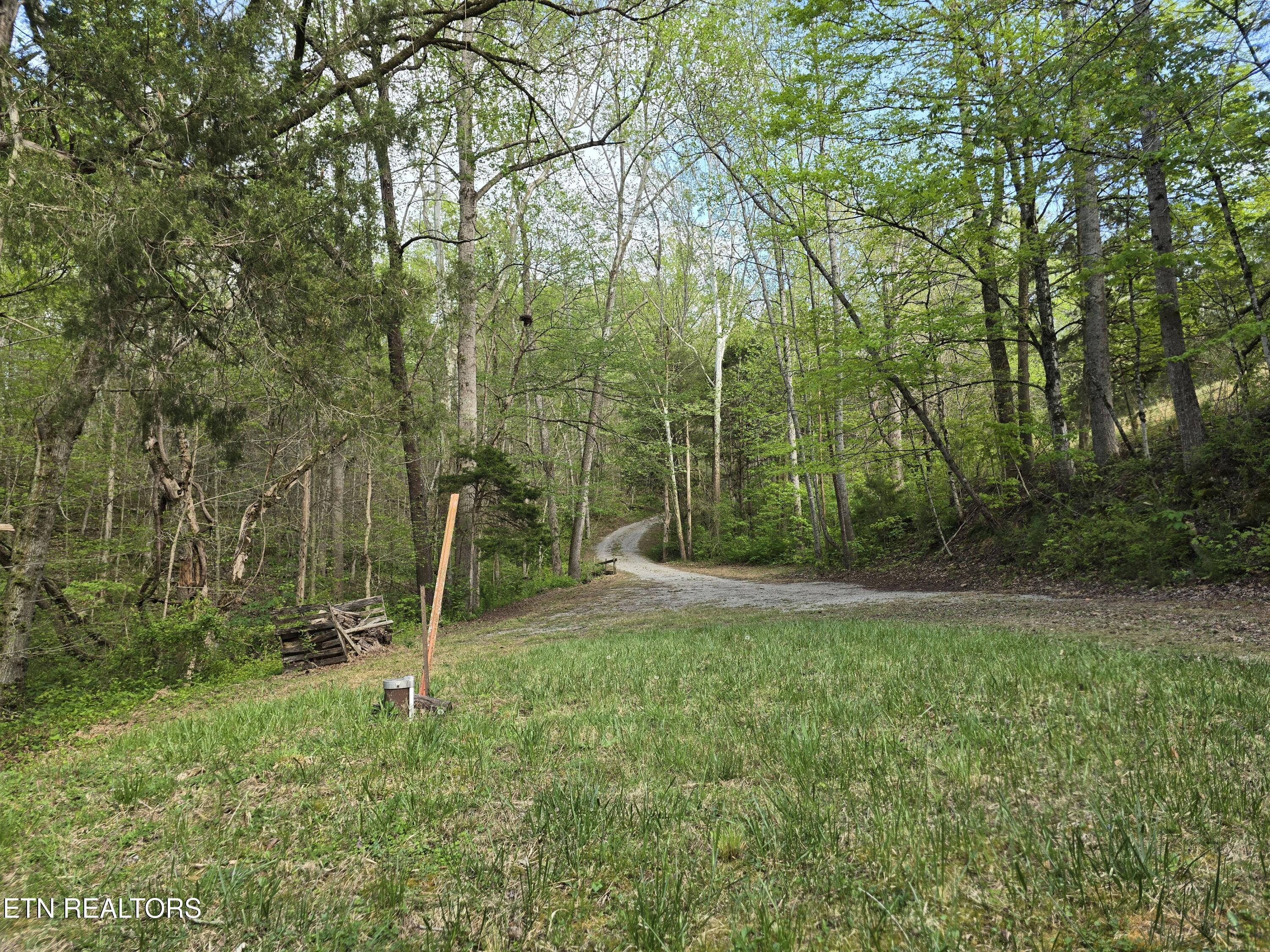3711 Elm Springs Ridge Washburn, TN 37888 - Photo 30 of 49 20260411_174421