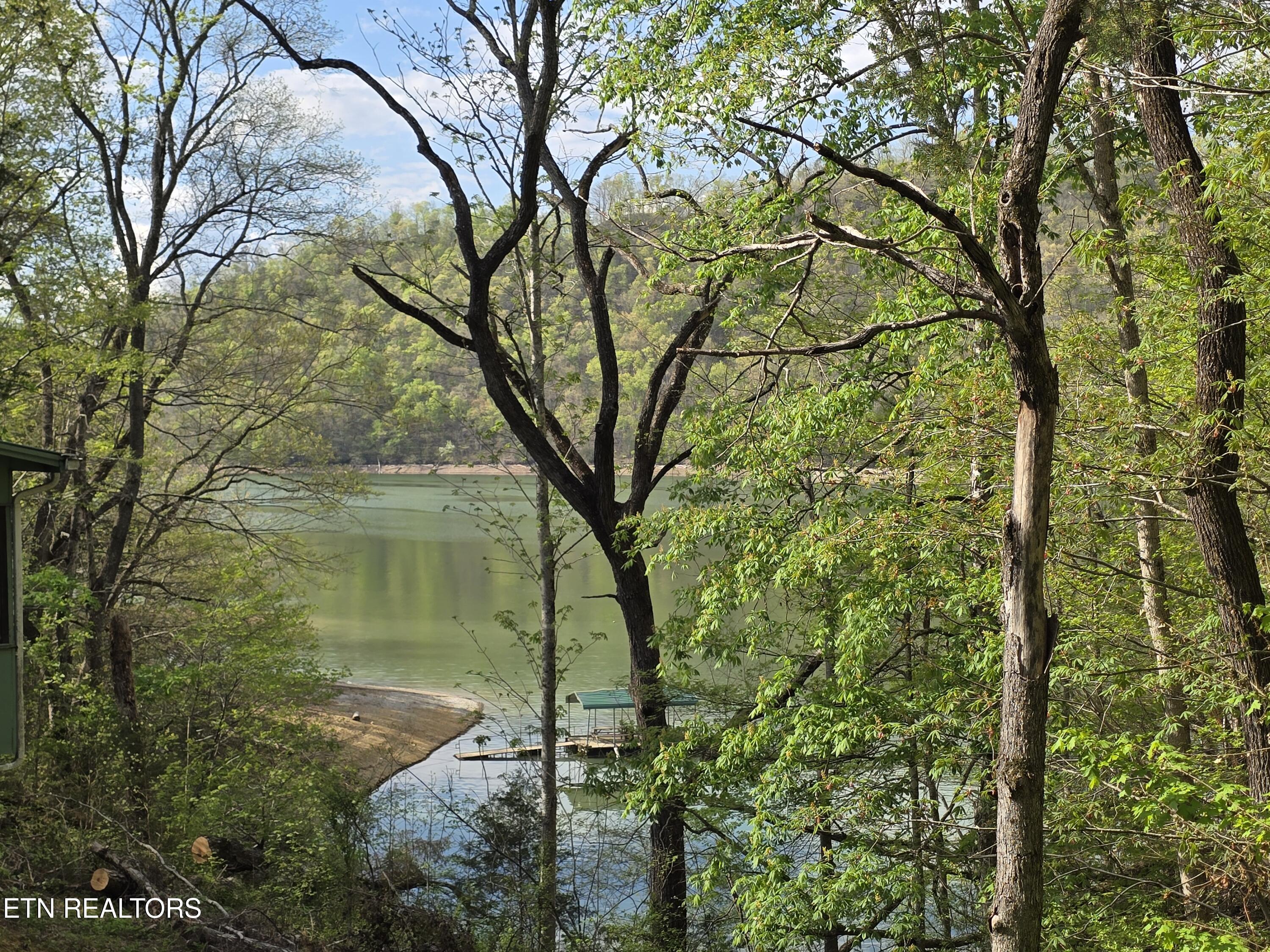 3711 Elm Springs Ridge Washburn, TN 37888 - Photo 43 of 49 20260411_171059