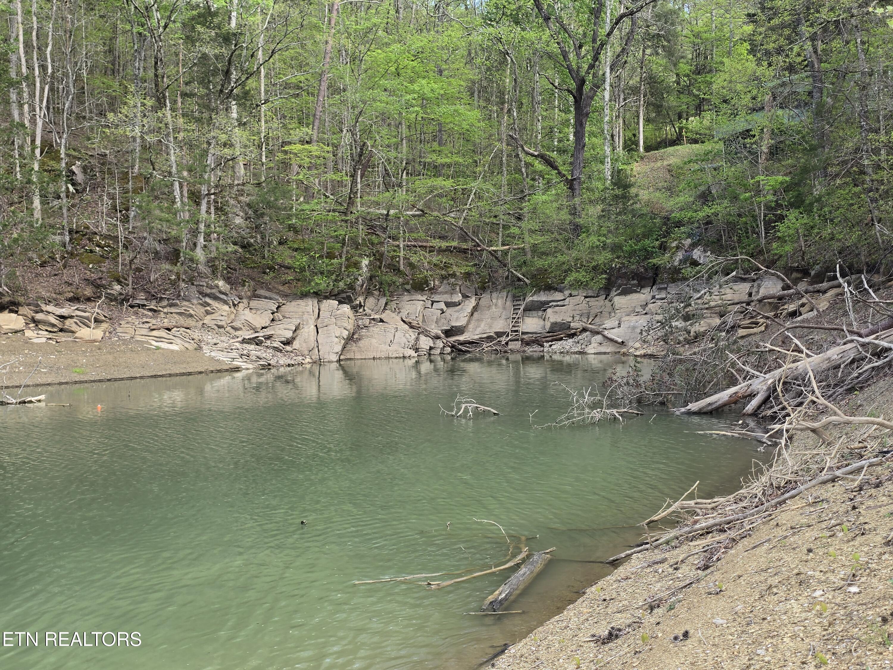 3711 Elm Springs Ridge Washburn, TN 37888 - Photo 46 of 49 20260411_172945