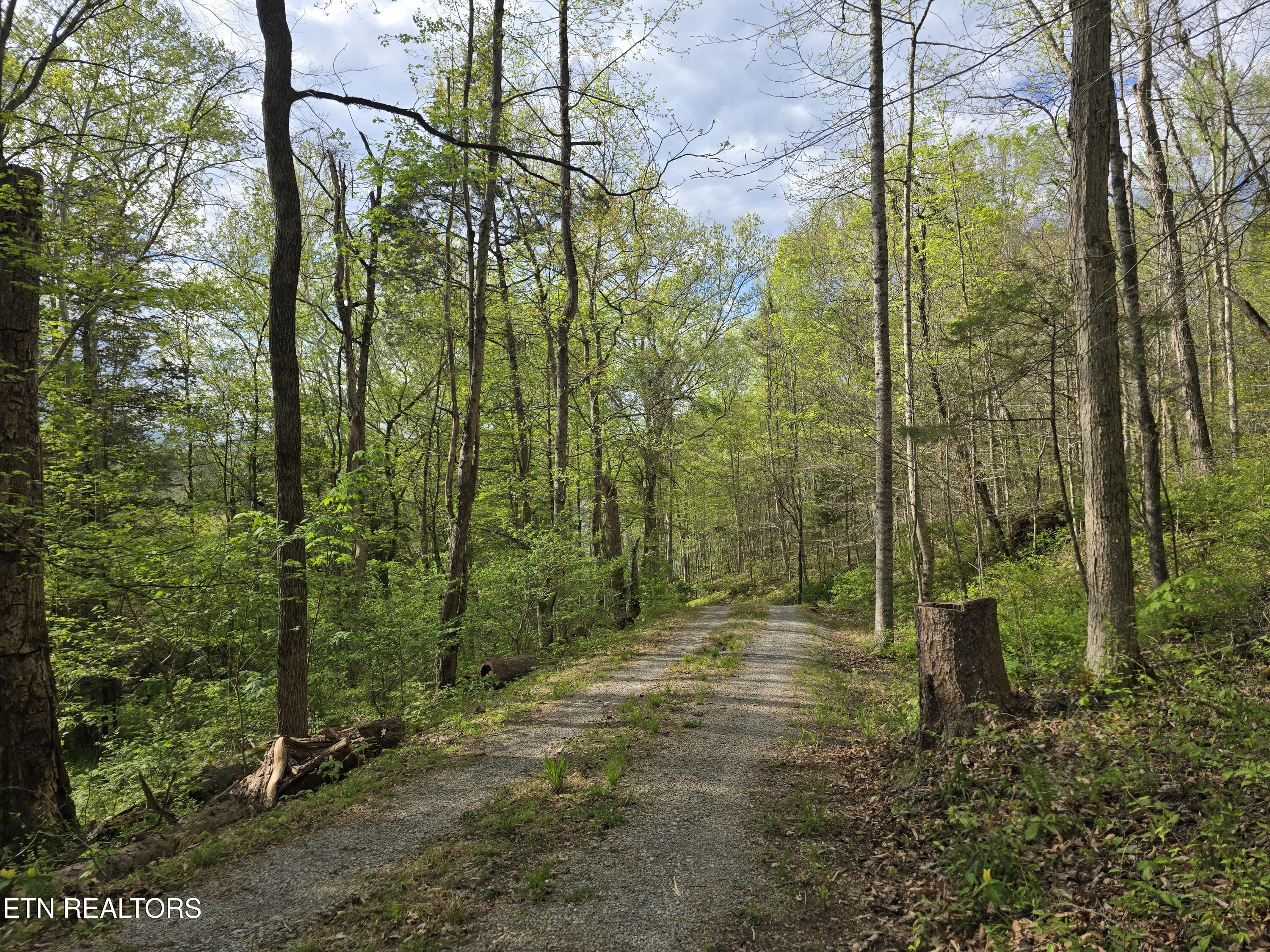 3711 Elm Springs Ridge Washburn, TN 37888 - Photo 48 of 49 20260411_170707