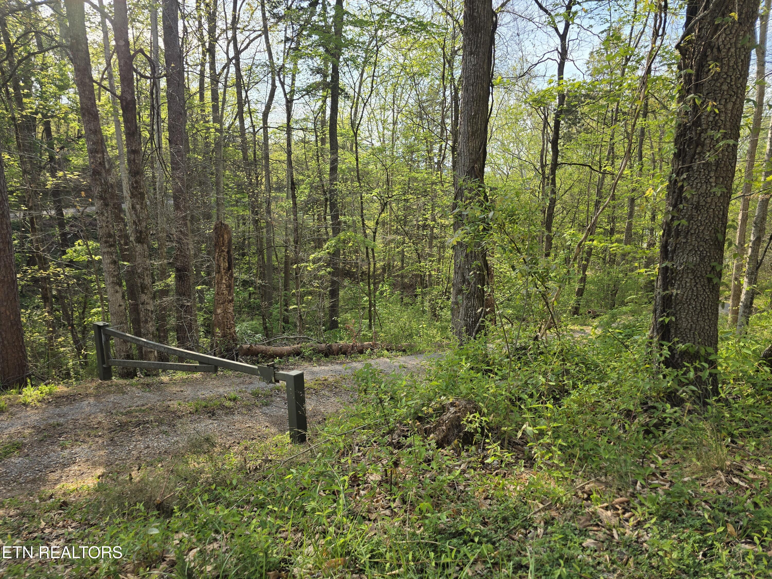3711 Elm Springs Ridge Washburn, TN 37888 - Photo 49 of 49 20260411_181218