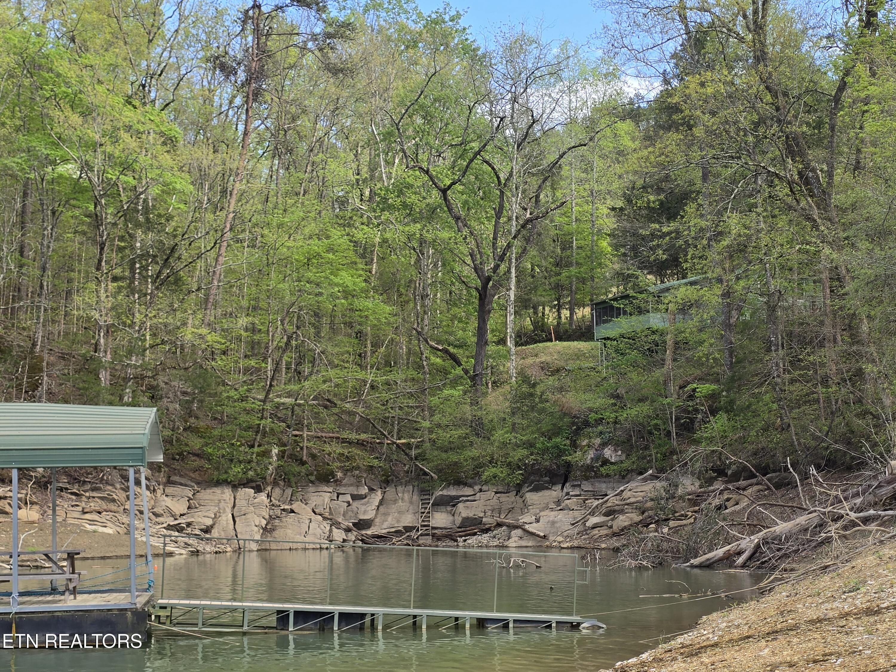 3711 Elm Springs Ridge Washburn, TN 37888 - Photo 8 of 49 20260411_173456