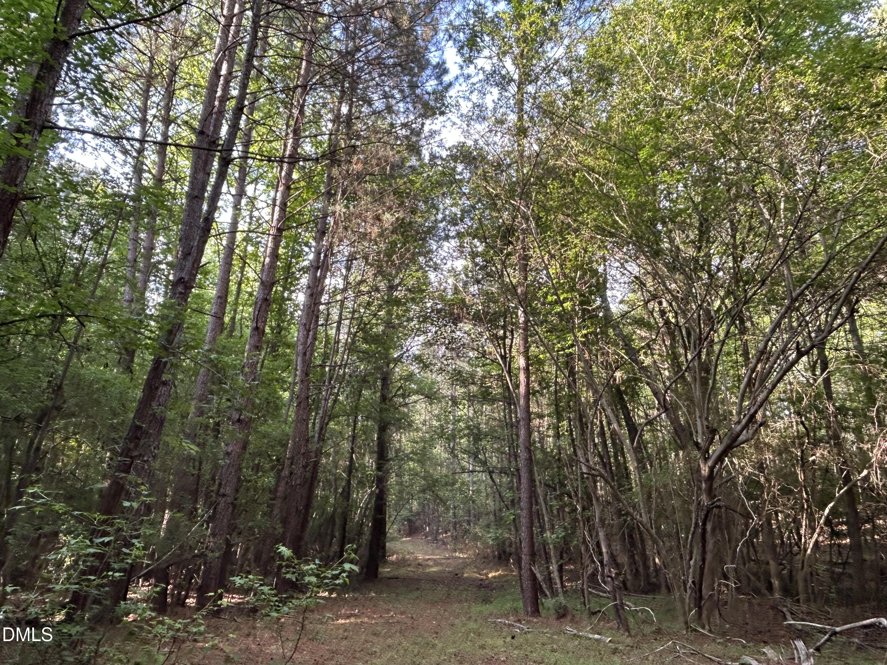 0 Beaver Dam Road Creedmoor, NC 27522 - Photo 2 of 13 IMG_7636
