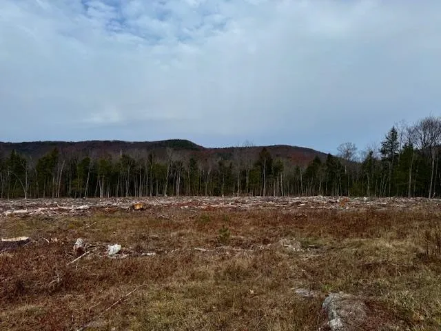 $650,000 | Tbd Towle Hill Road, Freedom, NH 03836