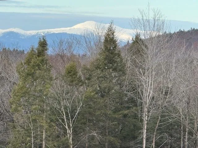 $650,000 | Tbd Towle Hill Road, Freedom, NH 03836