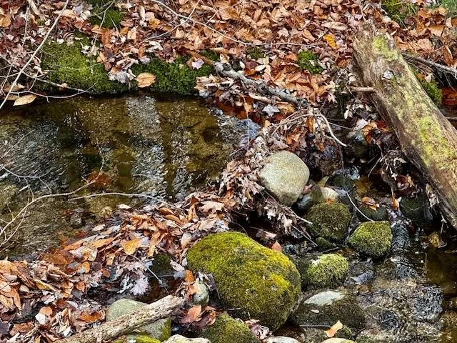 $650,000 | Tbd Towle Hill Road, Freedom, NH 03836