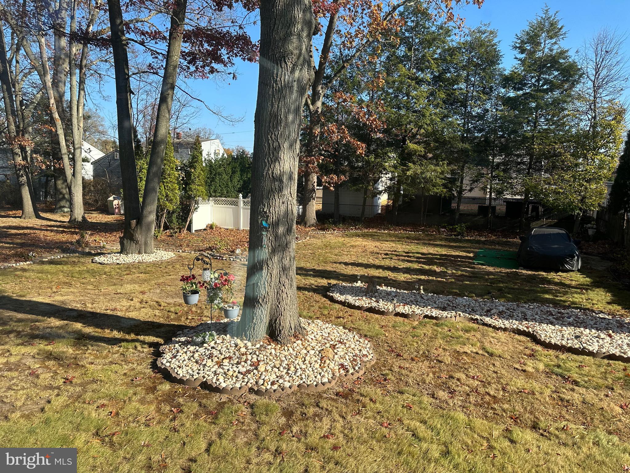 28 Cold Spring Road Hamilton, NJ 08619 - Photo 34 of 34 a view of a yard with large tree