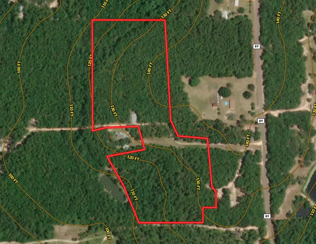 16.8-ac Mound Road Black, AL 36314 - Photo 4 of 17