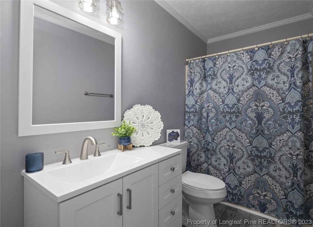 5843 Labonte Drive Hope Mills, NC 28348 - Photo 22 of 43 a bathroom with a sink mirror vanity and toilet
