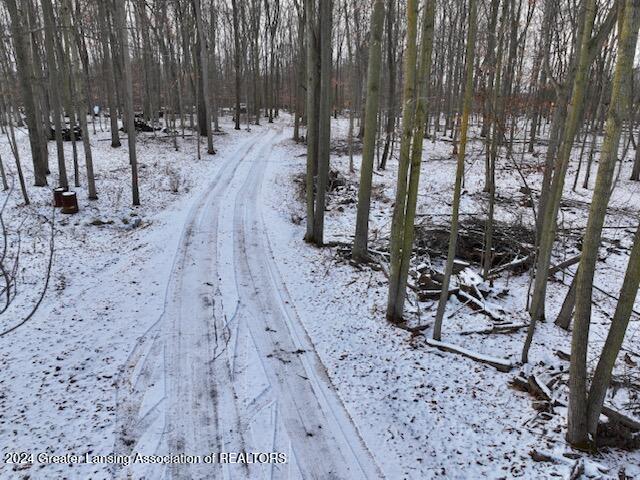 0 South Royston Road Eaton Rapids, MI 48827 - Photo 6 of 15 dji_fly_20241215_170304_0400_17342107615