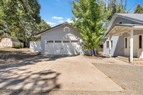 a view of a tree with a backyard