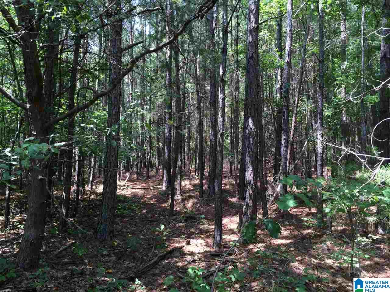 Spunky Hollow Road, Unit 18 7 Oneonta, AL 35121 - Photo 13 of 46
