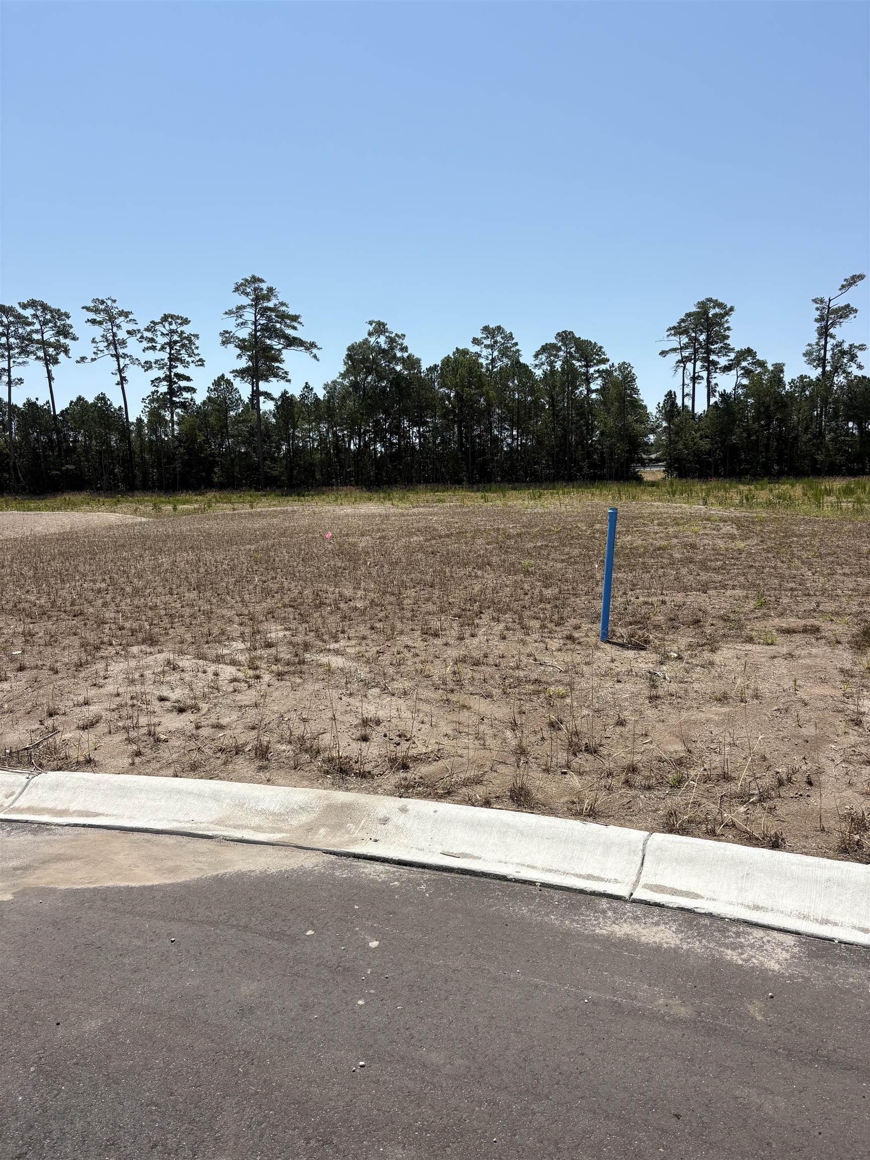 459 Pompano Court Myrtle Beach, SC 29577 - Photo 3 of 3