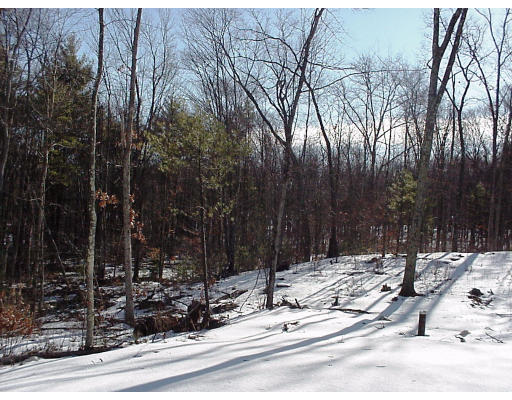 2091 Greenwich Road Hardwick, MA 01082 - Photo 4 of 9 Gallery Image 4