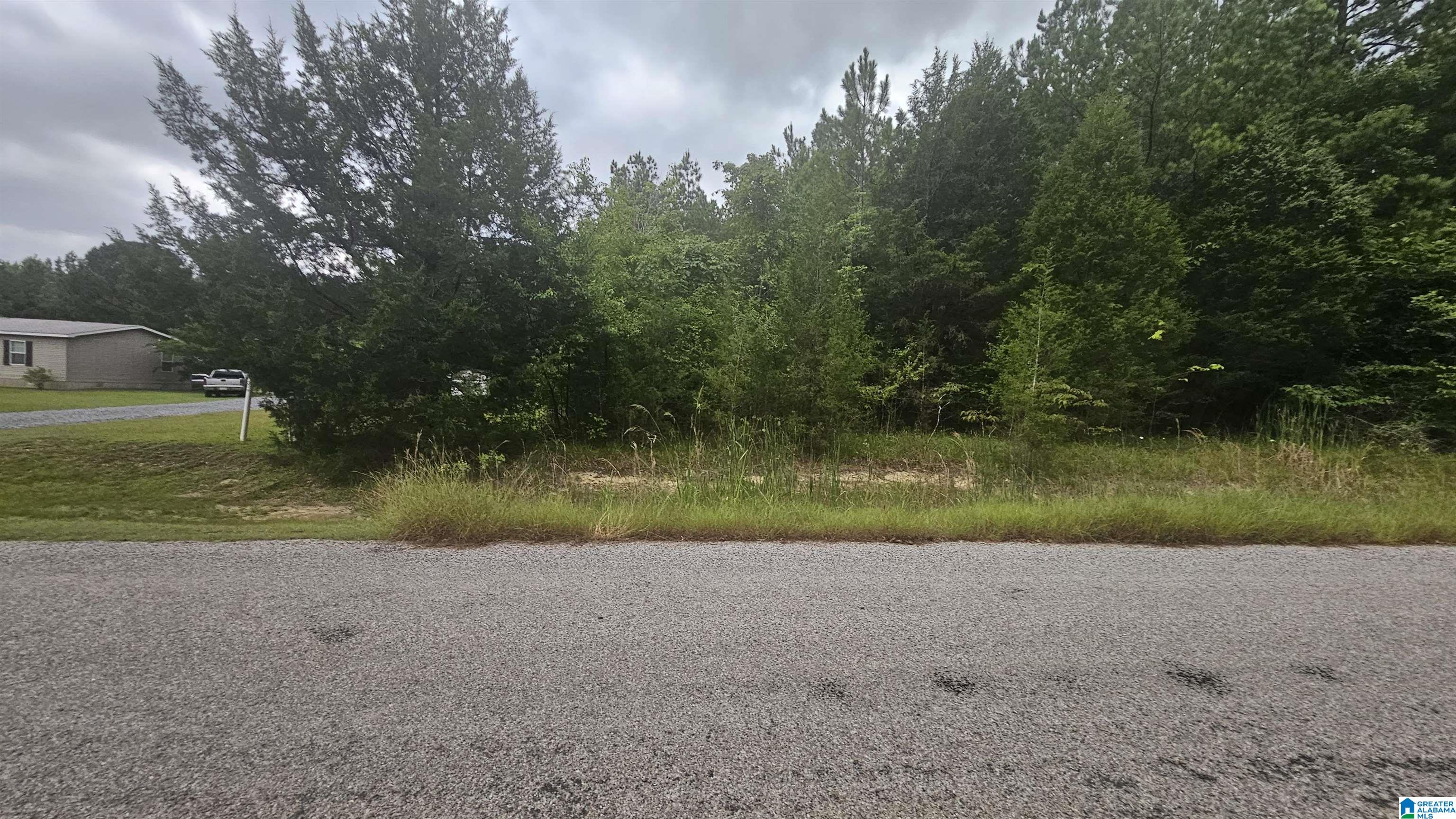 518 County Road Selma, AL 36701 - Photo 3 of 3