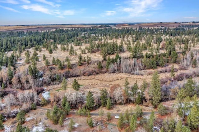 $300,000 | 0 South Phillips Road, Cheney, WA 99004