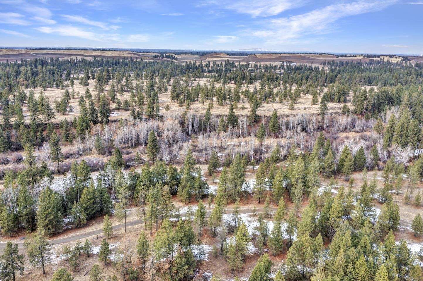 0 South Phillips Road Cheney, WA 99004 - Photo 4 of 11